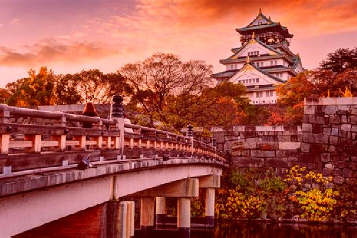 Alice, 37 — Escort in Kitahama, Japan