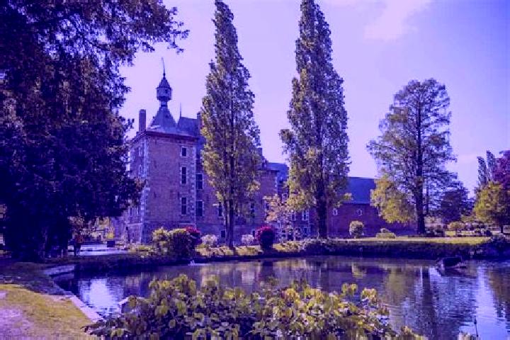 Alice, 37 — Escort in Sint-Martens-Voeren, Belgium