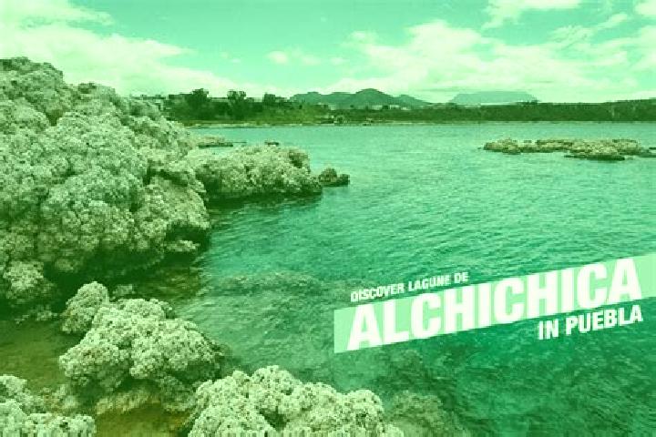 Alice, 38 — Escort in Alchichica, Mexico