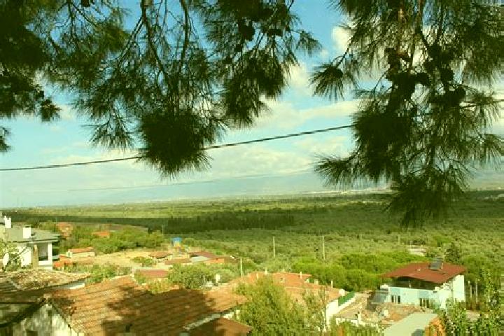 Alice, 38 — Escort in Kuecuekdere, Turkey