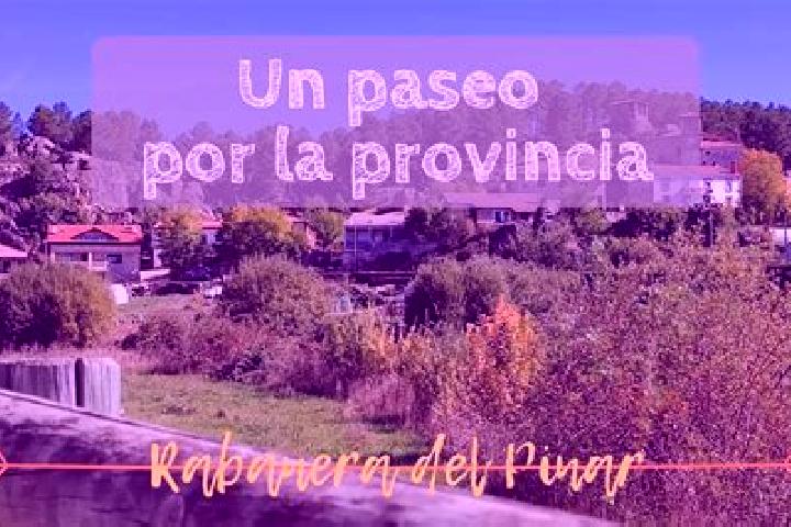 Alice, 38 — Escort in Rabanera del Pinar, Spain