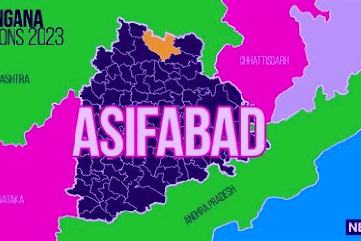 Alice, 39 — Escort in Asifabad, India