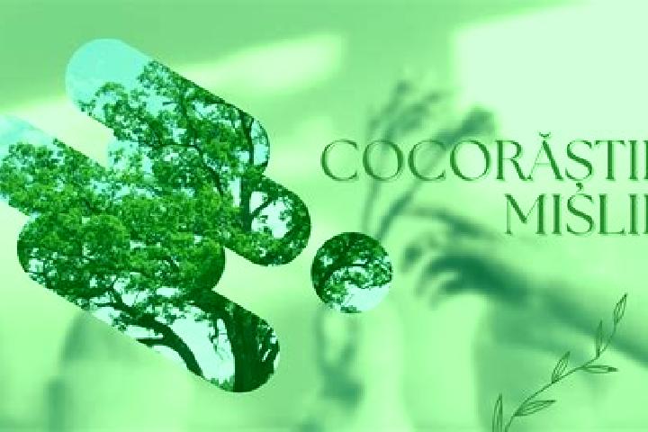Alice, 39 — Escort in Cocorastii Mislii, Romania