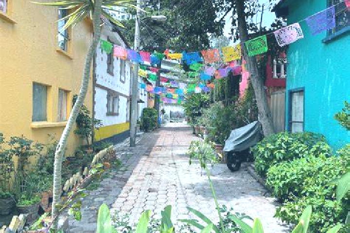 Alice, 39 — Escort in Colonia Palo Prieto (Chipitongo), Mexico