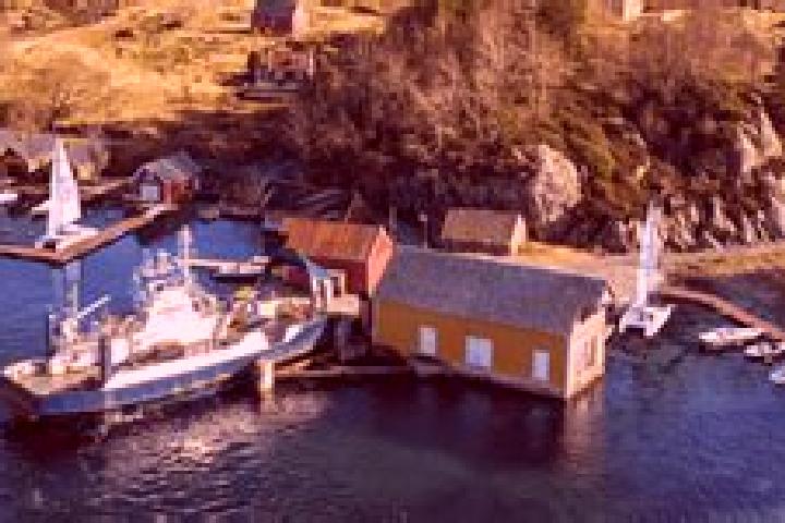 Alice, 39 — Escort in Klokkarvik, Norway