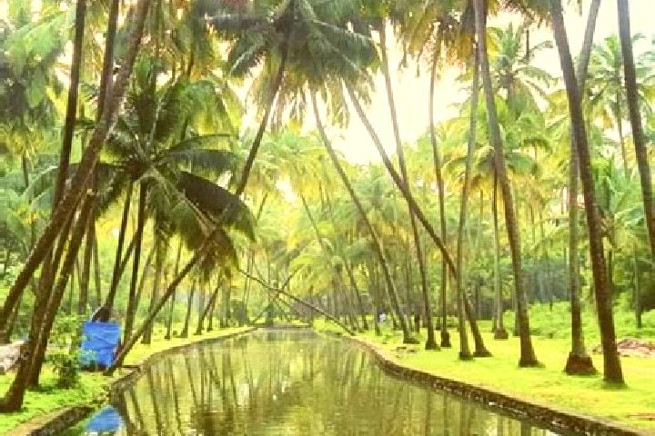 Alice, 39 — Escort in Kunnamkulam, India