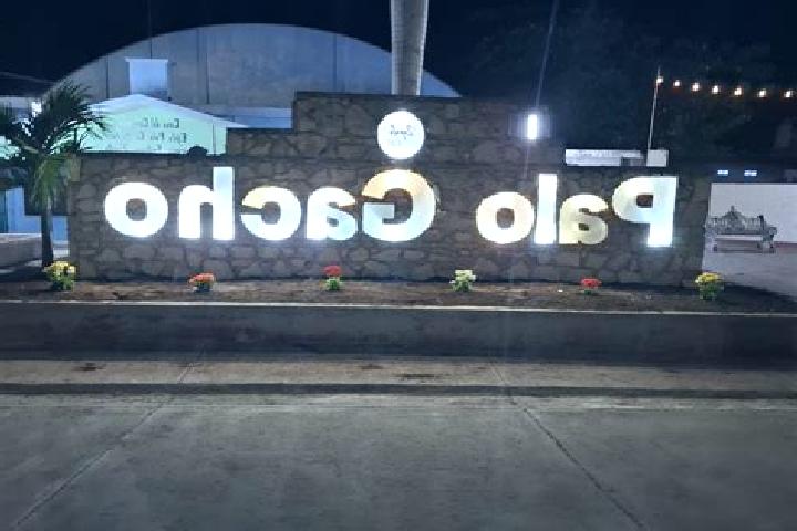 Alice, 39 — Escort in Palo Gacho, Mexico