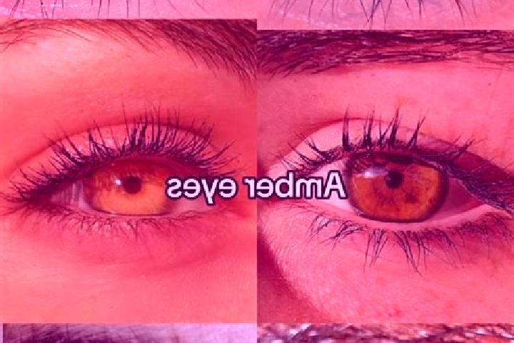 Amelia, 20, a brunette amber-eyed middle eastern companion based in Sovkhoznyy. Offering Couples, Prostate Massage, Travel Companion. Available for incall an...