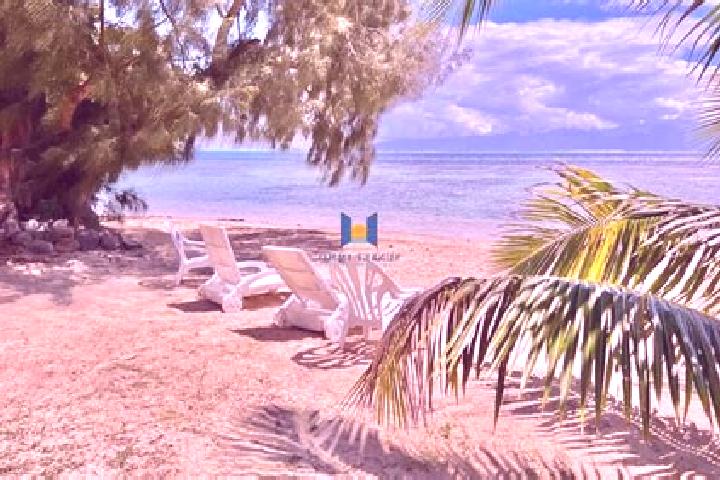 Amelia, 20 — Escort in Afareaitu, French Polynesia