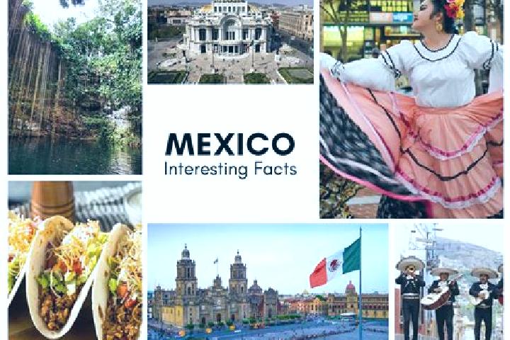 Amelia, 20 — Escort in Mina Mexico, Mexico