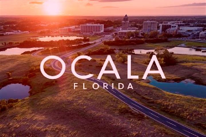Amelia, 20 — Escort in Ocala, United States