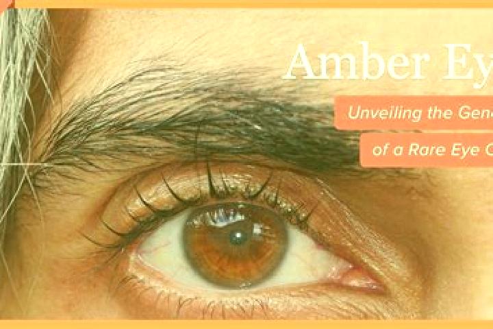 Amelia, 21, a black amber-eyed ebony companion based in Hazel Crest. Offering Tantra, Fetish, BDSM. Available for incall and outcall, overnight bookings avai...
