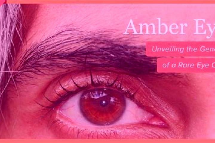 Amelia, 21, a red amber-eyed caucasian companion based in Baruklinting Dua. Offering 69, Fetish, Duos, BDSM. Available for incall and outcall, day and evenin...
