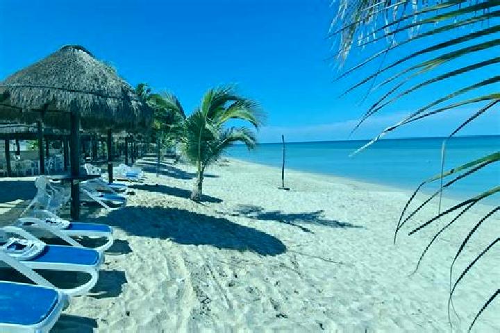 Amelia, 21 — Escort in Bahia Tortugas, Mexico
