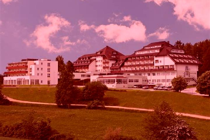 Amelia, 21 — Escort in Laab im Walde, Austria
