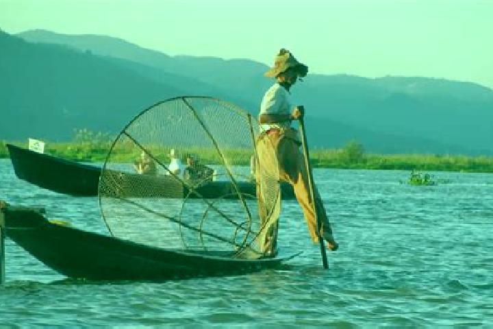 Amelia, 21 — Escort in Meiktila, Myanmar