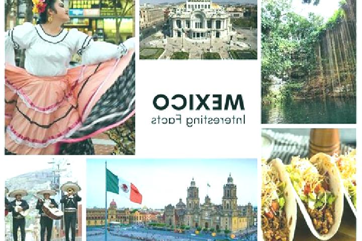 Amelia, 21 — Escort in Ochomitas, Mexico