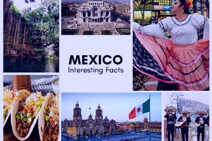 Amelia, 21 — Escort in Patelna, Mexico