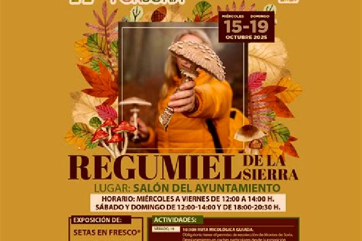 Amelia, 21 — Escort in Regumiel de la Sierra, Spain