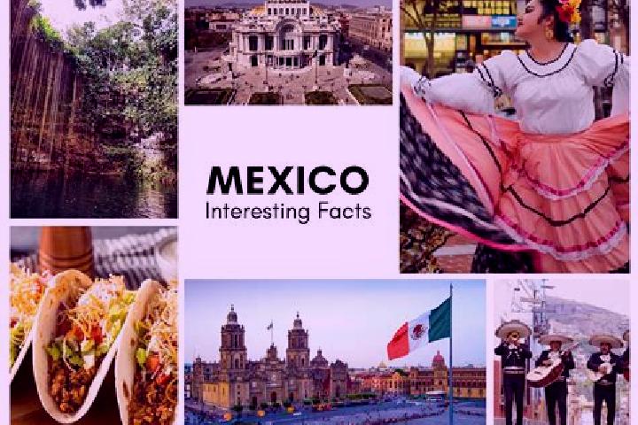 Amelia, 21 — Escort in Yuquin, Mexico