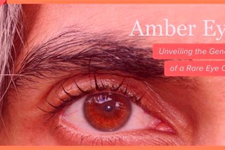 Amelia, 22, a black amber-eyed middle eastern companion based in Bonython. Offering Fetish, Roleplay, Dinner Date, Prostate Massage. Available for incall and...