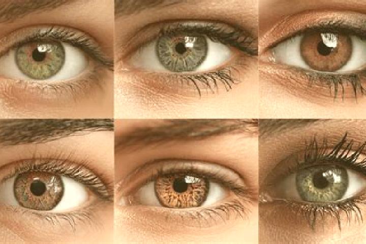 Amelia, 22, a black hazel-eyed caucasian companion based in Vaestra Ingelstad. Offering Fetish, Domination, Striptease, Girlfriend Experience. Available for ...