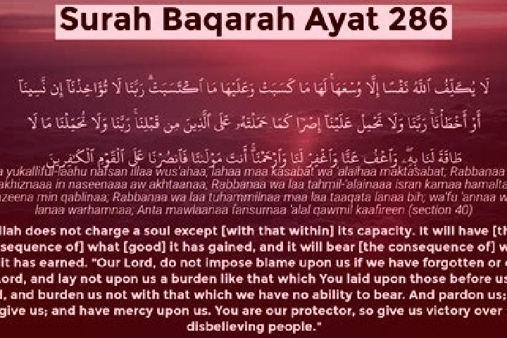 Amelia, 22 — Escort in Baqah ash Sharqiyah, Palestine