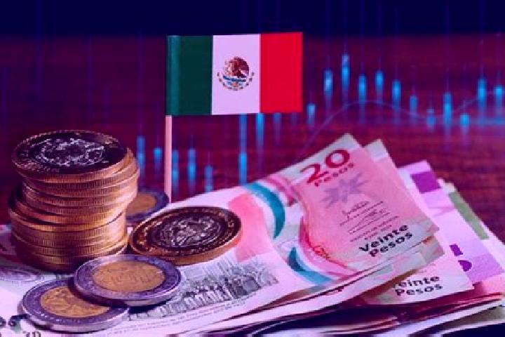 Amelia, 22 — Escort in Economia, Mexico