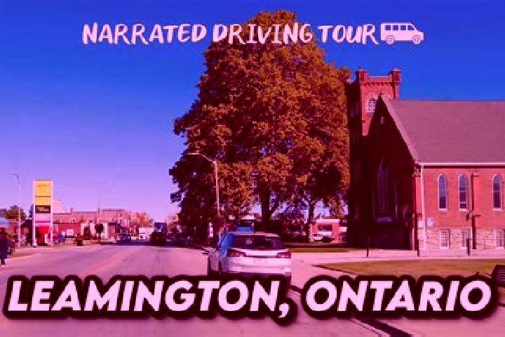 Amelia, 22 — Escort in Leamington, Canada