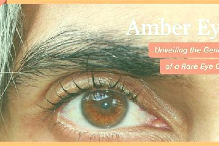 Amelia, 23, a black amber-eyed asian companion based in Hamrangefjarden. Offering BDSM, OWO. Available for incall and outcall, overnight bookings available.
