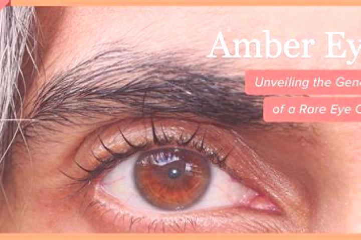 Amelia, 23, a red amber-eyed caribbean companion based in Jiashi. Offering Striptease, Duos, GFE, Prostate Massage. Available for incall and outcall, day and...