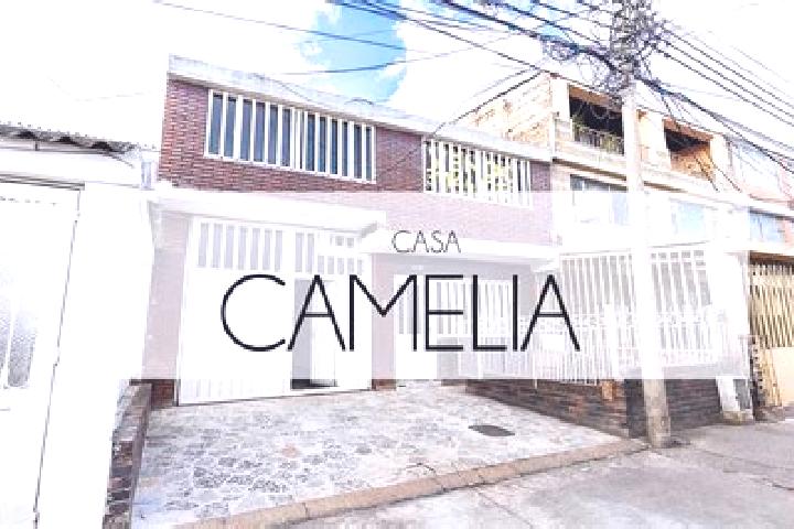 Amelia, 23 — Escort in Camelia (Barrio la Camelia), Mexico