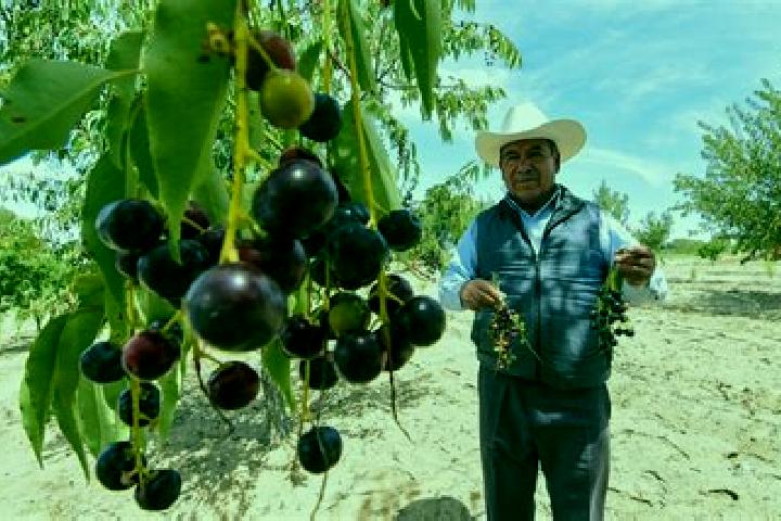 Amelia, 23 — Escort in Capulines, Mexico