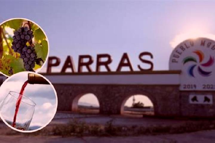 Amelia, 23 — Escort in Rio de Parras (Otzumatlan), Mexico