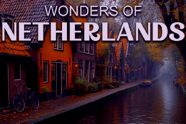 Amelia, 23 — Escort in Waarland, Netherlands