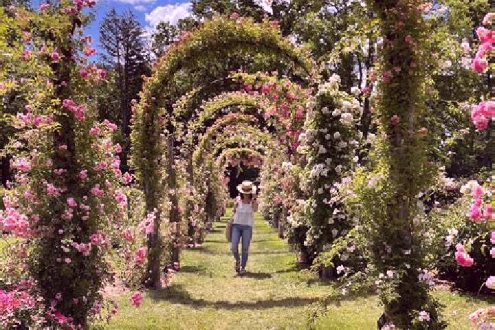 Amelia, 24 — Escort in Elizabeth Park, Australia