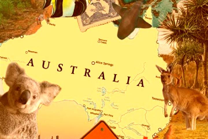 Amelia, 24 — Escort in Gordon, Australia