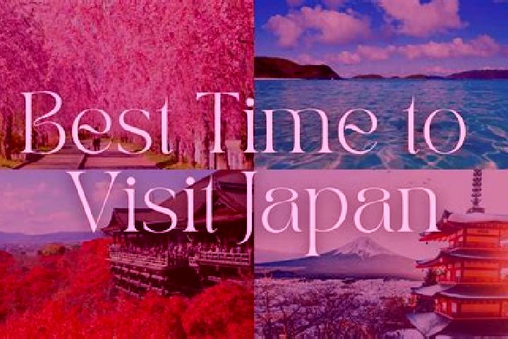 Amelia, 24 — Escort in Hayashino, Japan