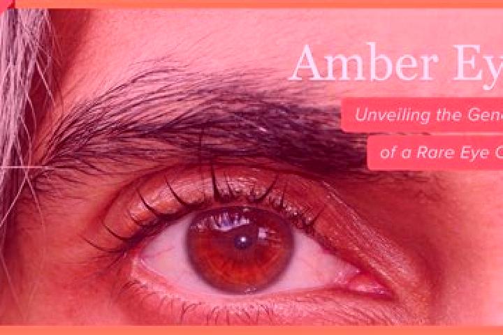 Amelia, 25, a red amber-eyed middle eastern companion based in Amla. Offering BDSM, Dinner Date, A-Level. Available for incall and outcall, overnight booking...