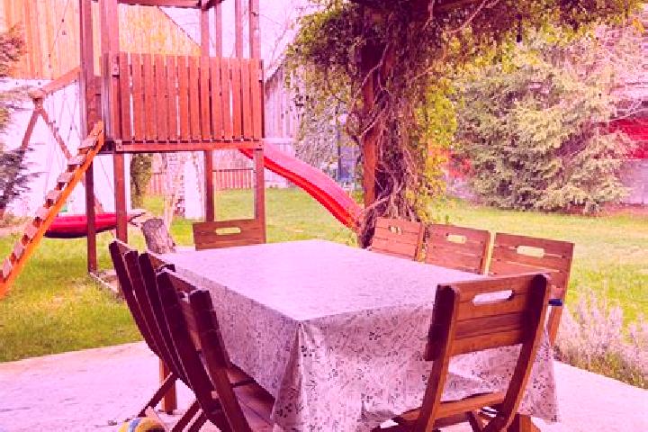 Amelia, 25 — Escort in Arpasu de Sus, Romania