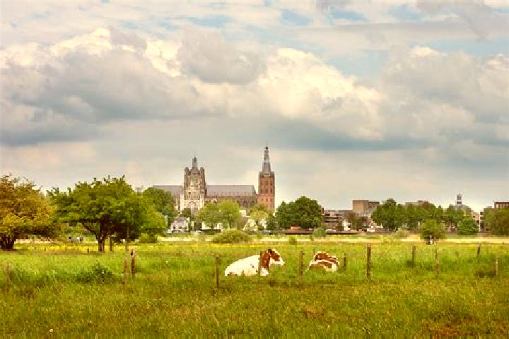 Amelia, 25 — Escort in Deuteren, Netherlands