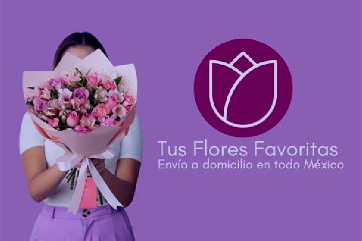 Amelia, 25 — Escort in Flores Magon, Mexico