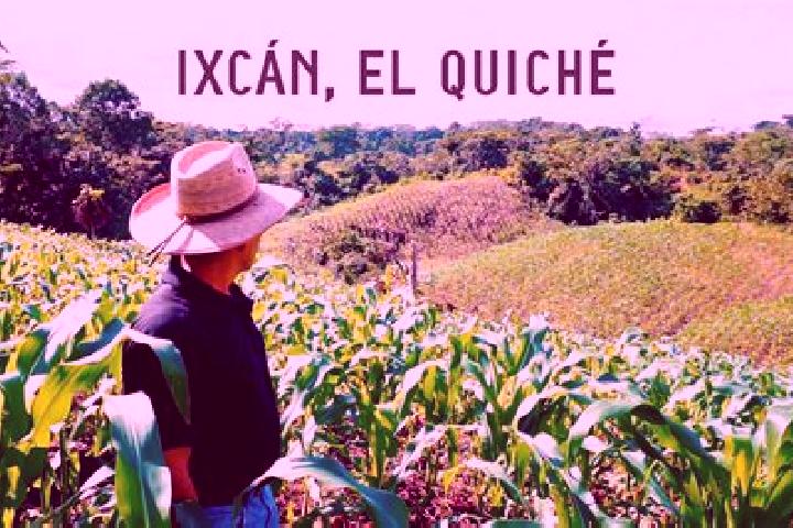 Amelia, 25 — Escort in Palpoala Ixcan, Mexico