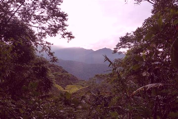 Amelia, 25 — Escort in Salango, Ecuador