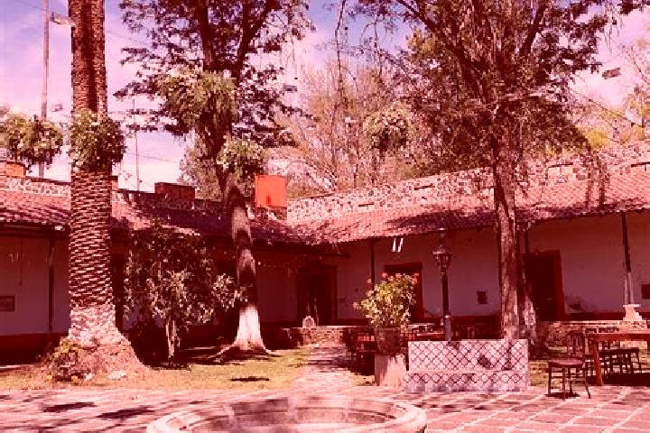 Amelia, 25 — Escort in San Juan Hueyapan, Mexico