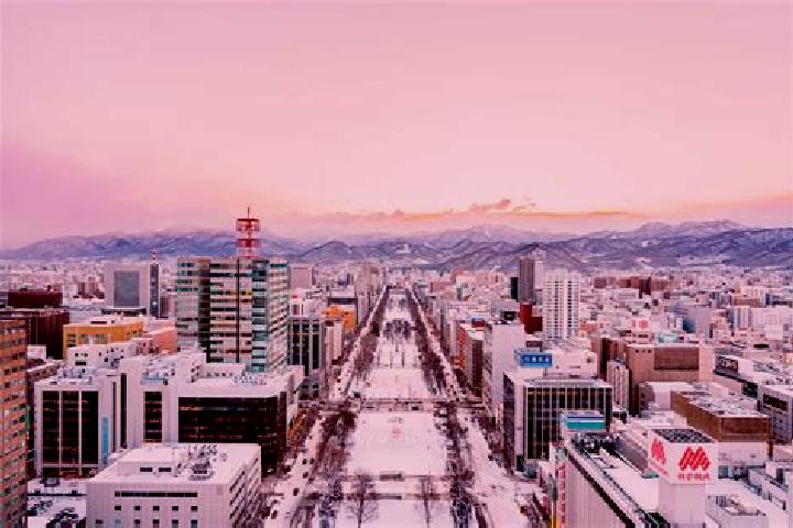Amelia, 25 — Escort in Sapporo, Japan