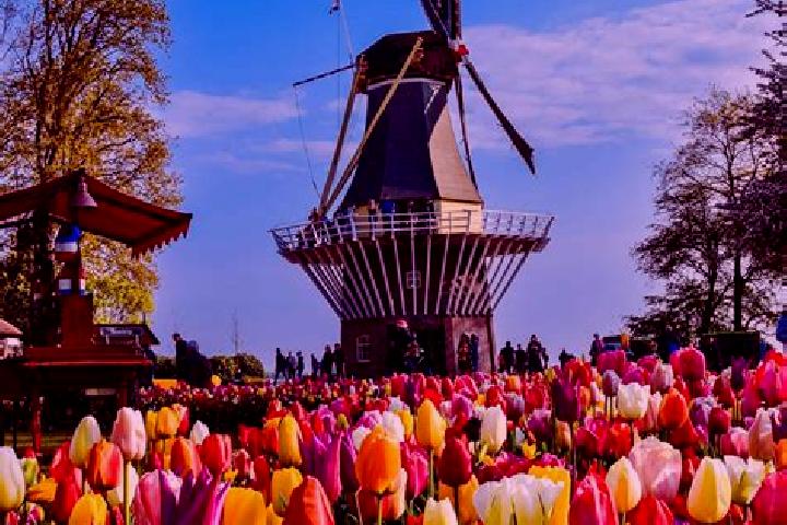Amelia, 25 — Escort in Schutsboom, Netherlands