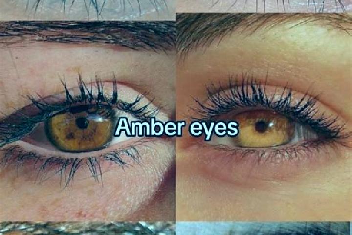 Amelia, 26, a brunette amber-eyed slavic companion based in Sauri. Offering CIM, Striptease, OWO, Dinner Date, Fetish. Available for incall and outcall, over...