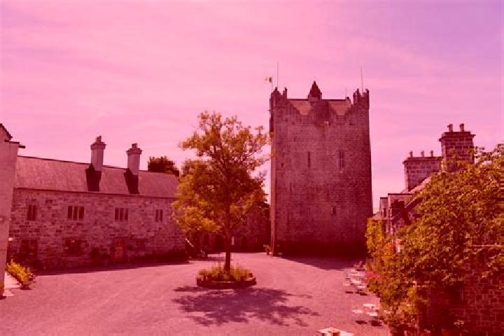 Amelia, 26 — Escort in Lackagh, Ireland