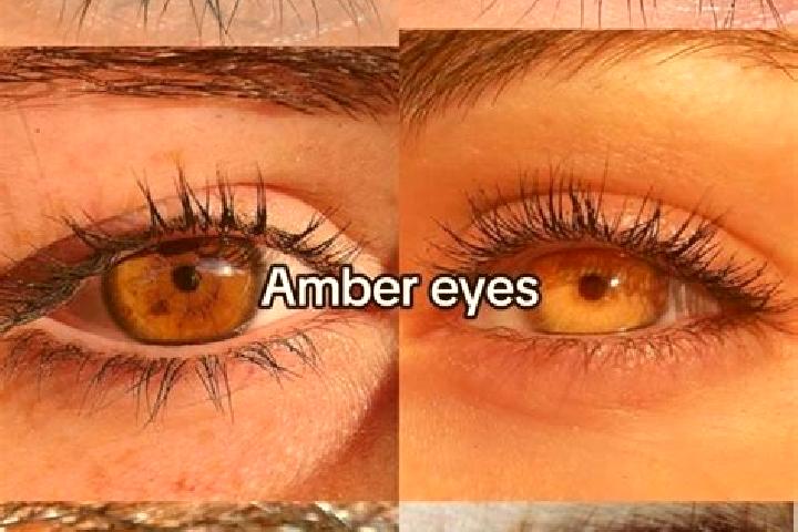 Amelia, 27, a chestnut amber-eyed asian companion based in Herisson. Offering 69, Overnight, OWO. Available for incall and outcall, overnight bookings availa...